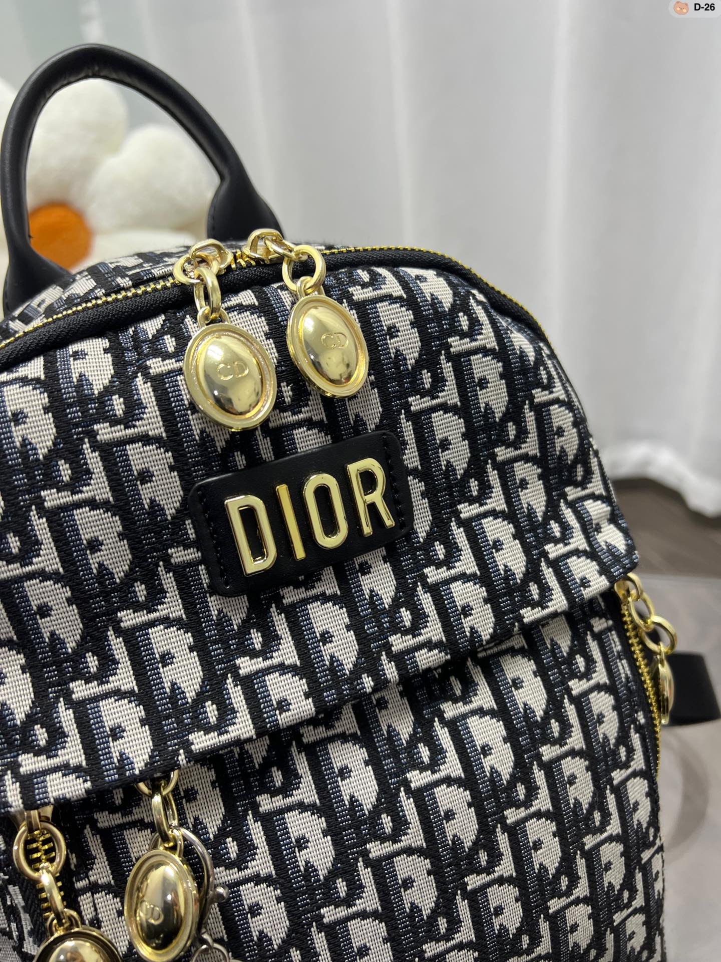 Mochila Dior