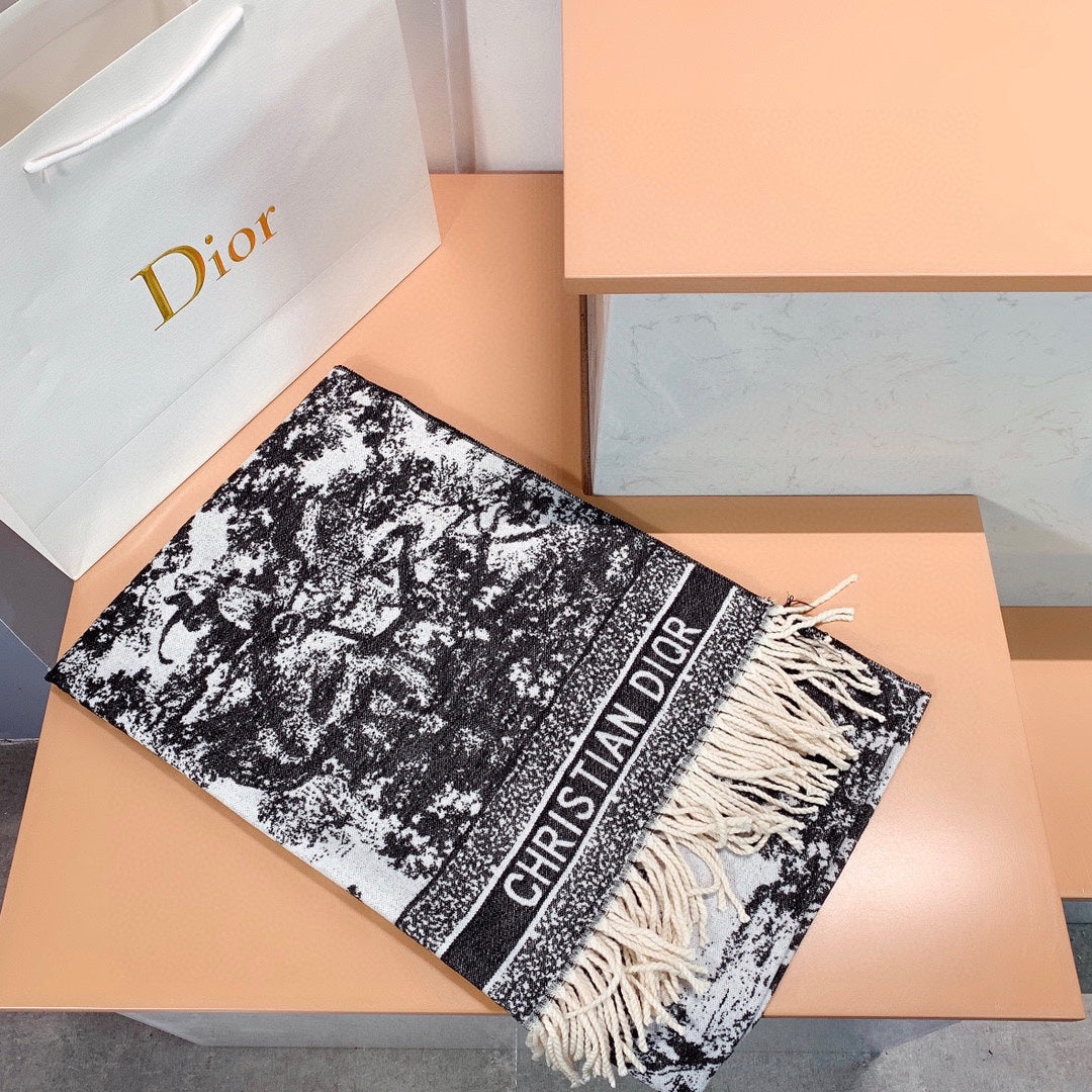 Dior Bag + Scarf and Purse Set