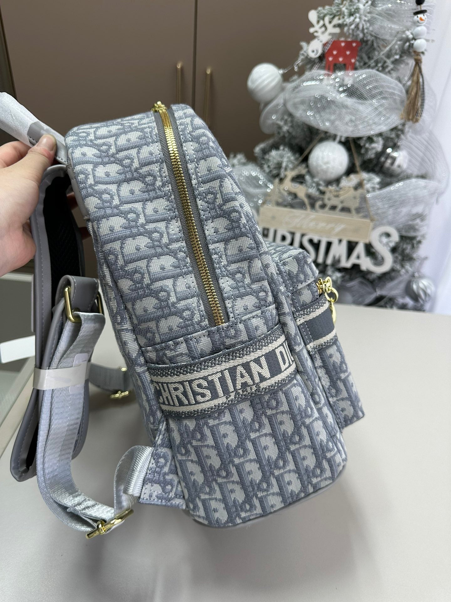 Dior backpack