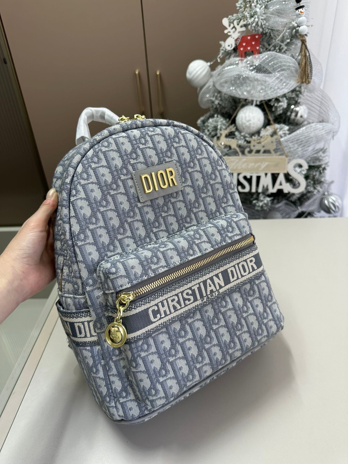 Mochila Dior